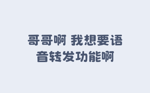 哥哥啊 我想要语音转发功能啊-Xyner